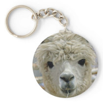 Adorable Keychains