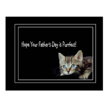 Adorable Kitten With Unbelievable Blue Eyes Postcard