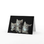 Adorable Kittens cards