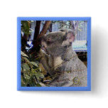 Adorable Koala buttons