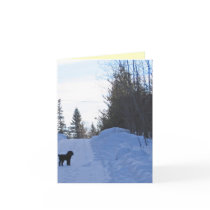 Adorable Little Dog Note Card