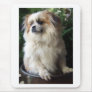 Adorable Long Hair Rescue Dog Mouse Pads