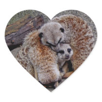 Adorable Meerkats Bundle of Fur Nature Photo