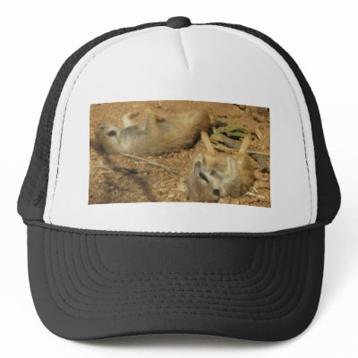 Adorable Meerkats Trucker Hat by all_creatures