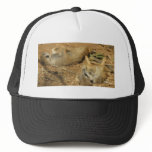 Adorable Meerkats hats