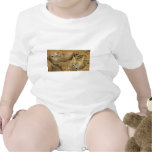 Adorable Meerkats Tee Shirt