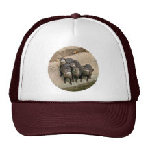Adorable Otter Family Mesh Hats