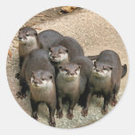 Adorable Otter Family Sticker