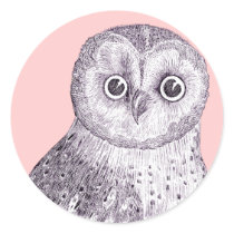 Adorable Owl - Spotted or Barred Owl Antique Print Round Stickers
