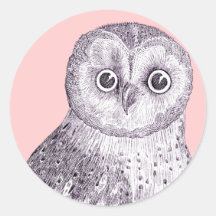 Adorable Owl - Spotted or Barred Owl Antique Print Round Stickers