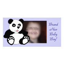 Adorable Panda