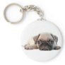adorable pug puppy keychain