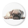 adorable pug puppy refrigerator magnet