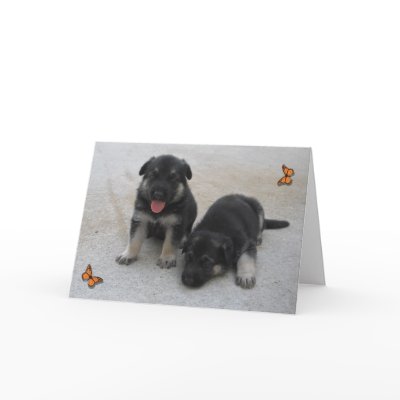 Adorable Puppies Card by KELLBELL535