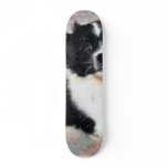 Adorable Puppy On The Ground skateboards