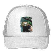 Adorable Red Panda  Baseball Hat