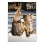 Adorable "Reindeer" Chipmunk Greeting Cards