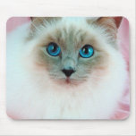 Adorable Siamese Cat 1 Mouse Mats