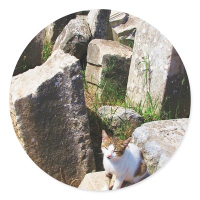 Adorable stray cat living in the ruins of Ephesus Sticker by gothicarts