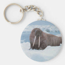 Adorable Walrus Keychains