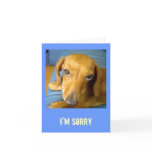 adorableeyes, I'm Sorry cards