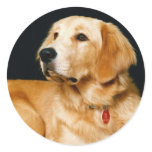 Adorably Cute Puppy Dog 1 Sticker