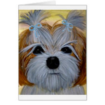 adShihTzu8x10.jpg Card