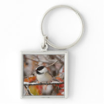 Adult Black-capped Chickadee in Snow, Grand