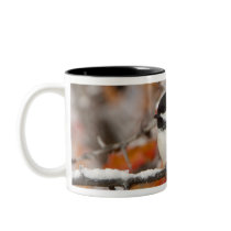 Adult Black-capped Chickadee in Snow, Grand Mug