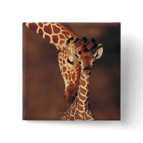 Adult Giraffe with calf (Giraffa camelopardalis) Pinback Buttons