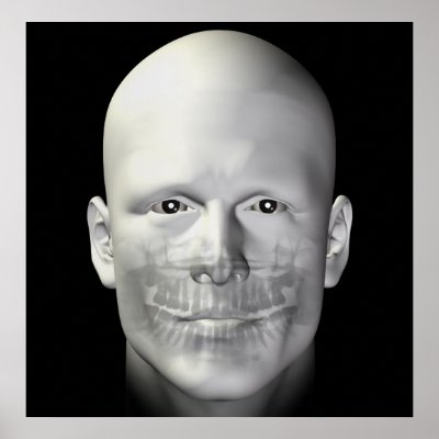 adult male dental xray illustration poster by sirylok