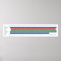 Adult Men's Shoe Size Comparison Chart Print