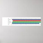 Adult Women's Shoe Size Comparison Chart posters
