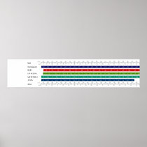 Adult Women's Shoe Size Comparison Chart Posters