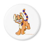 Adventurous orange Kougra magnets
