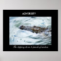 Adversity posters