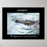 Adversity posters