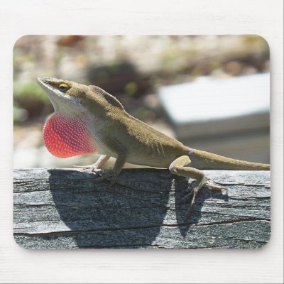 Advertise Yourself Mousepad! by boris01