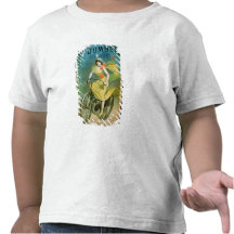 Advertising for 'Humber Cycles' (colour litho) Tshirts