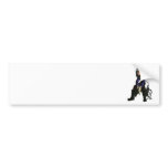 Advice Bumper Sticker