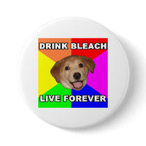 Advice Dog