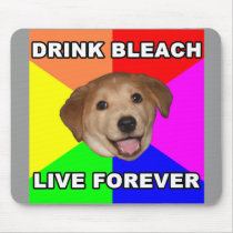 Advice Dog