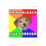 Advice Dog Round Stickers