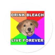 Advice Dog