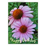 AE- Coneflower Birthday Card