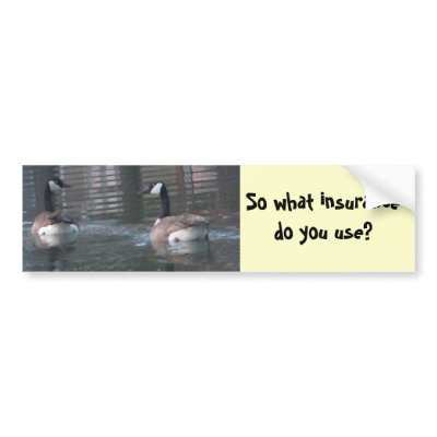 AE- So what insurancedo you use? Bumper sticker by patcallum