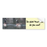 AE- So what insurancedo you use? Bumper sticker bumper stickers