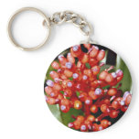 Aechmea miniata, bromeliaceae  flowers key chains