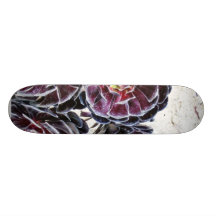 Aeonium Flower On Dry Rocks Custom Skateboard