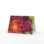 Aeonium watercolor card